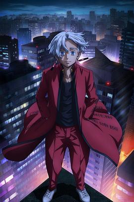 SEO项目优化主管